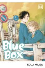 BLUE BOX, VOL. 14  PA