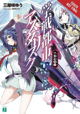 ASTERISK WAR LIGHT NOVEL SC VOL 11 Paperback