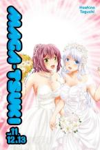 MAGATSUKI GN VOL 11-13 Paperback