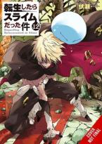 THAT TIME I REINCARNATED SLIME LIGHT NOVEL SC VOL Paperback