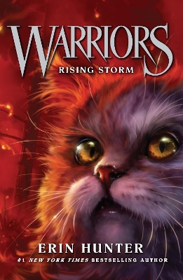 Warrior Cats 4 : Rising Storm