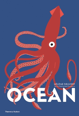 OCEAN (LIFT THE FLAP BOOK ) HC