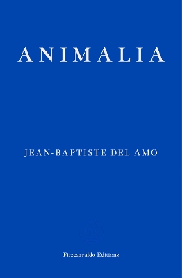 Animalia Paperback