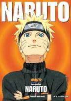NARUTO ILLUSTRATION BOOK PA