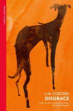 VINTAGE CLASSICS : Disgrace Paperback