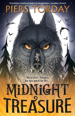 MIDNIGHT TREASURE Paperback