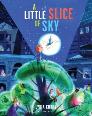 A LITTLE SLICE OF SKY Paperback