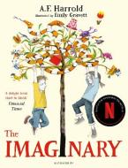 THE IMAGINARY  Paperback