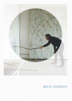BRICE MARDEN : PHAIDON FOCUS HC