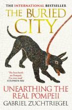 THE BURIED CITY HC