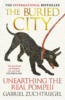THE BURIED CITY HC