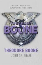 THEODORE BOONE Paperback