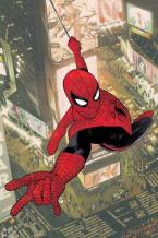 AMAZING SPIDER-MAN: TORN    Paperback